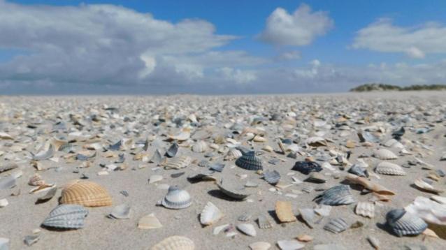 Rust Aan De Kust Villa Middelkerke Luaran gambar